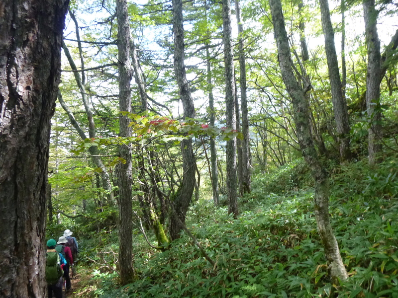 d0170615_193436.jpg