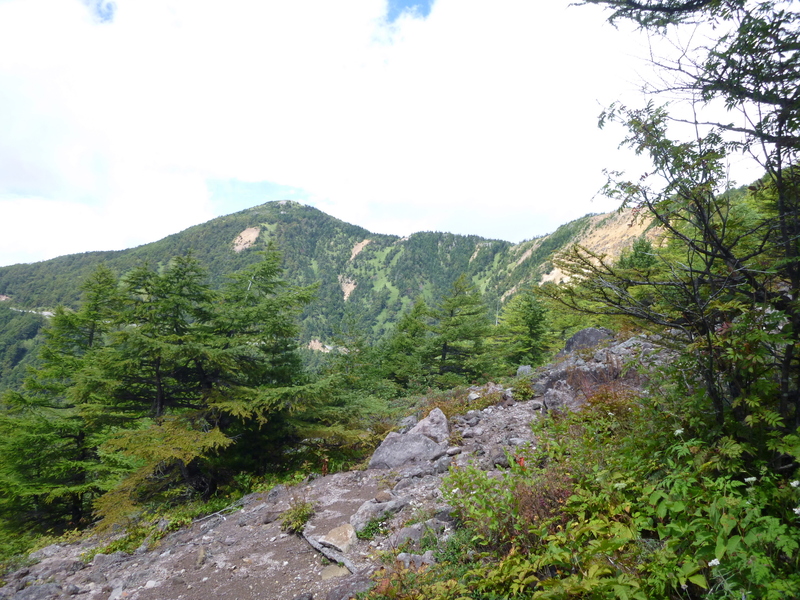 d0170615_19478.jpg