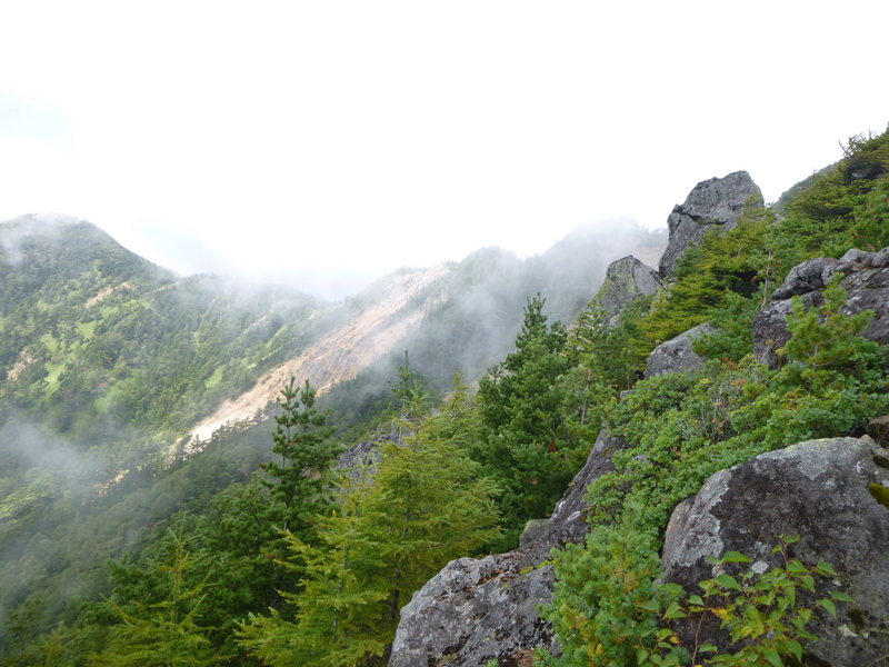 d0170615_1971831.jpg