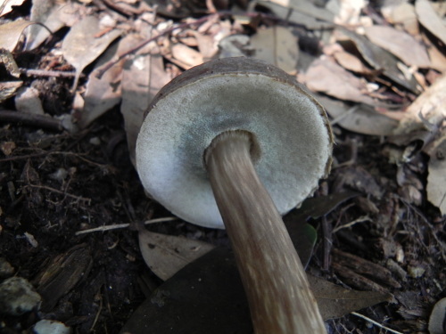 e0352220_20223012.jpg
