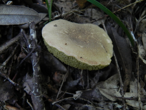 e0352220_21123200.jpg
