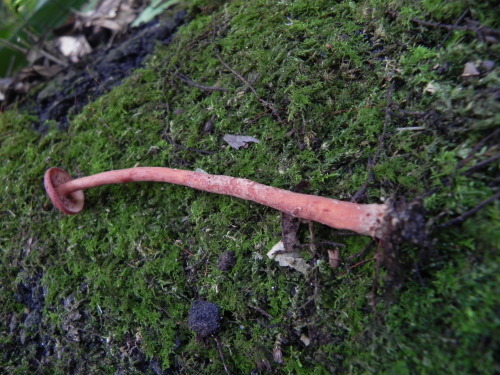 e0352220_21131801.jpg