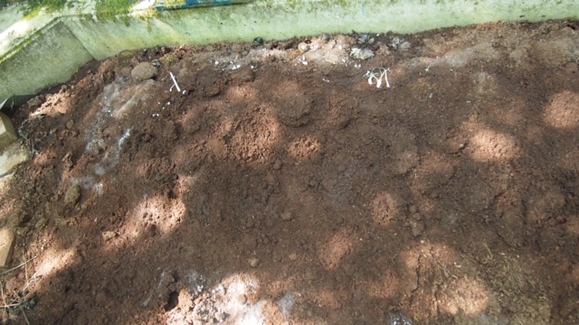 f0177529_22594212.jpg