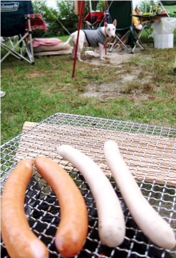 c0192330_23164890.jpg