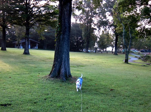 c0192330_23171925.jpg