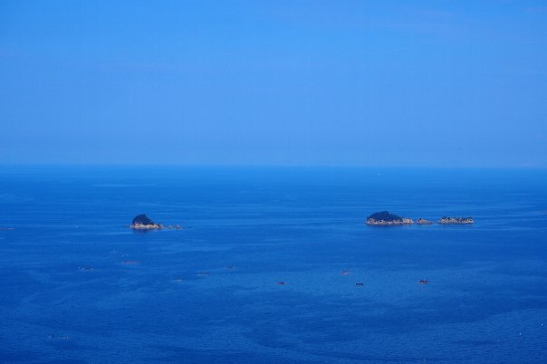 b0149340_21114081.jpg
