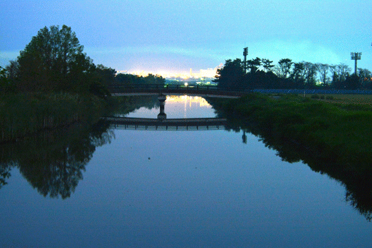 馬事公園付近にて_c0093046_17491724.gif