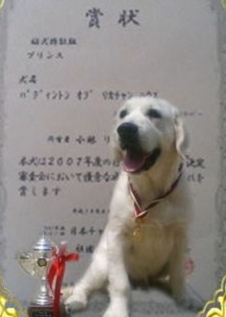 a0264649_13140940.jpeg