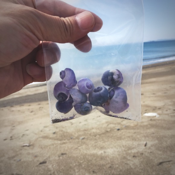 c0312349_16440770.jpeg