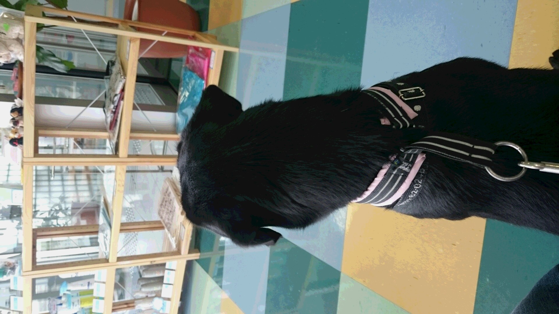 e0149256_20113246.jpg