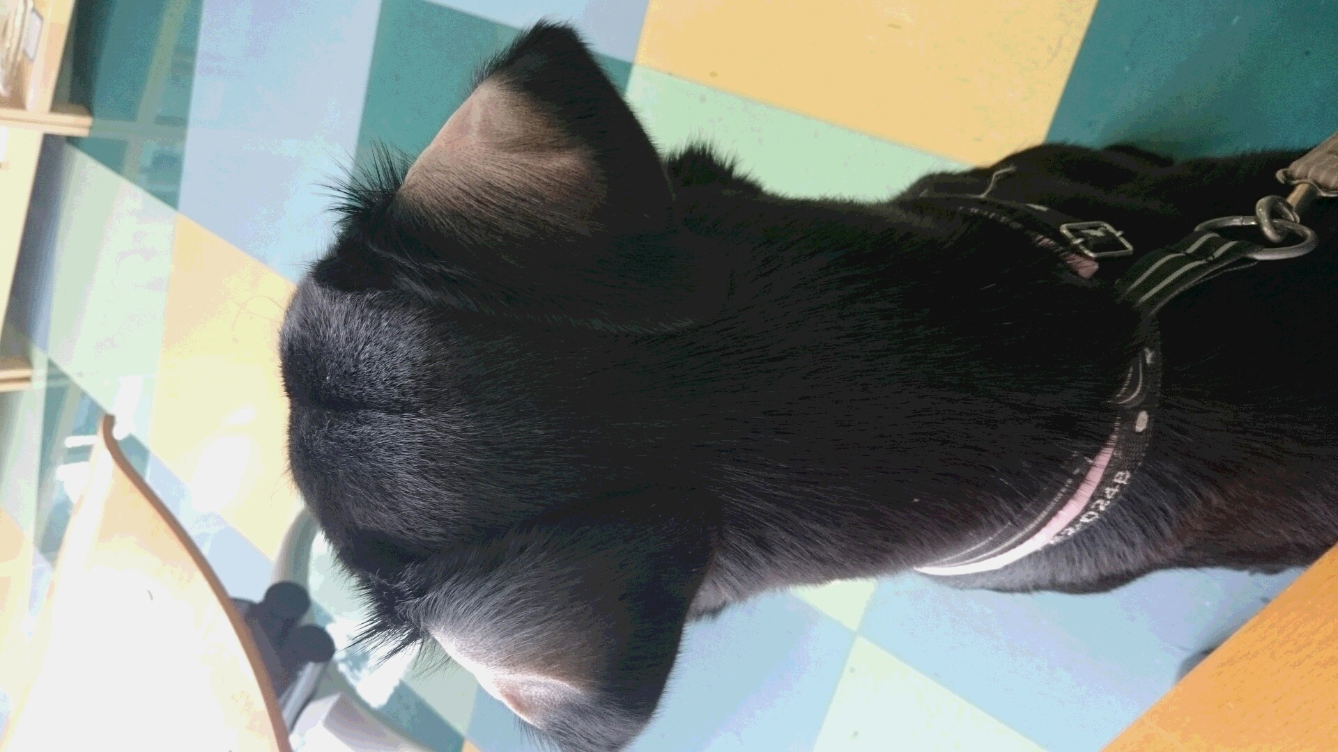 e0149256_20113278.jpg