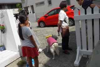 盲導犬アクアと一緒にvol.2_d0076558_17061406.jpg