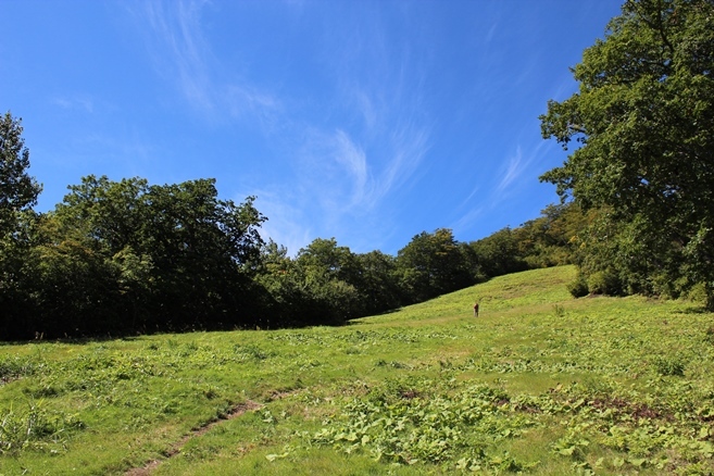 e0239458_15024044.jpg