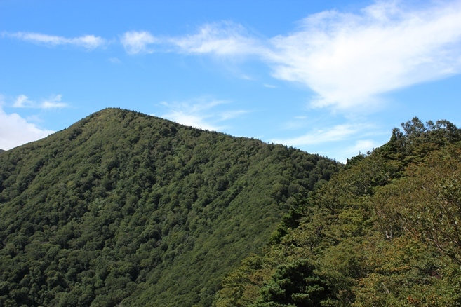 e0239458_15255049.jpg