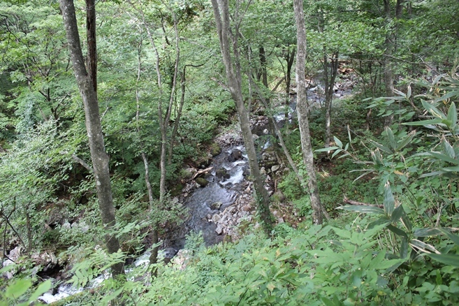 e0239458_18270460.jpg