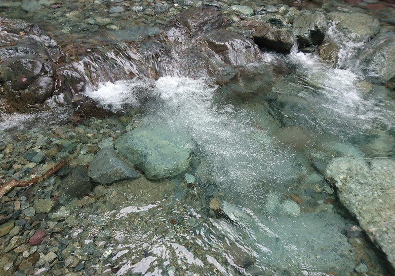 c0214259_22121287.jpg