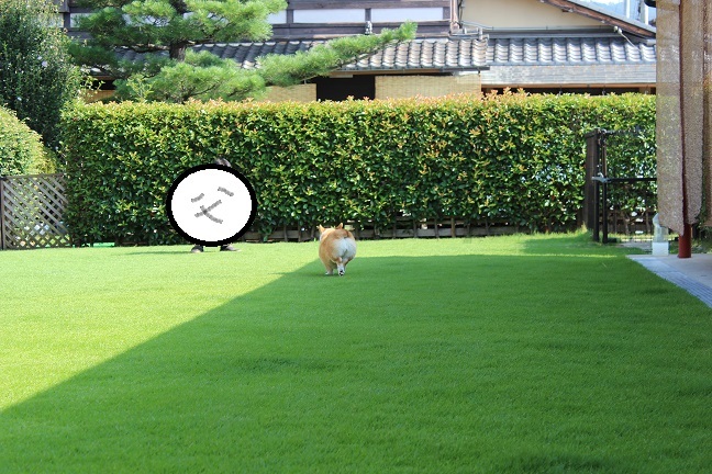 まだ続く。_f0296165_10584102.jpg