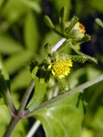 f0083977_22402916.jpg