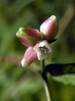 f0083977_22553835.jpg