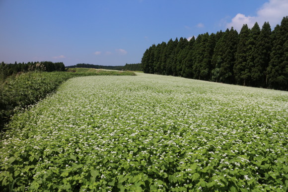 b0224178_10575631.jpg
