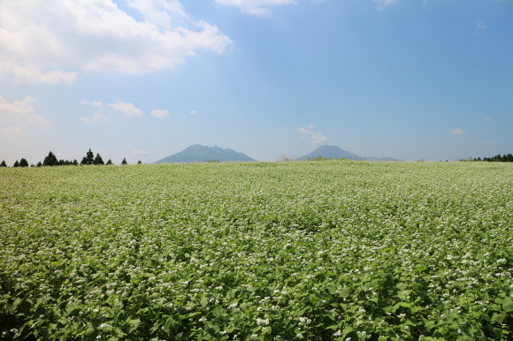 b0224178_10582524.jpg
