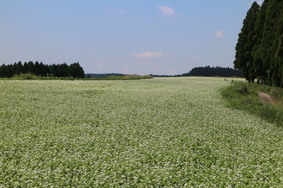 b0224178_10591004.jpg