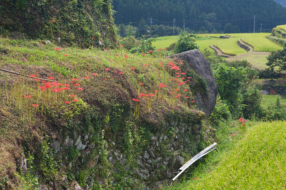 b0163788_1902463.jpg