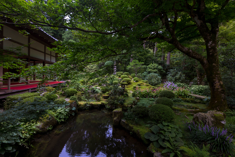 三千院_e0051888_5271474.jpg