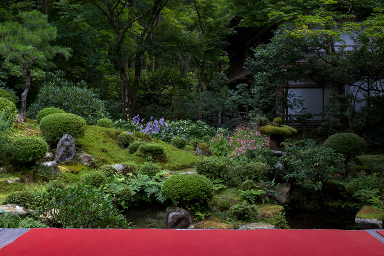 三千院_e0051888_5281655.jpg