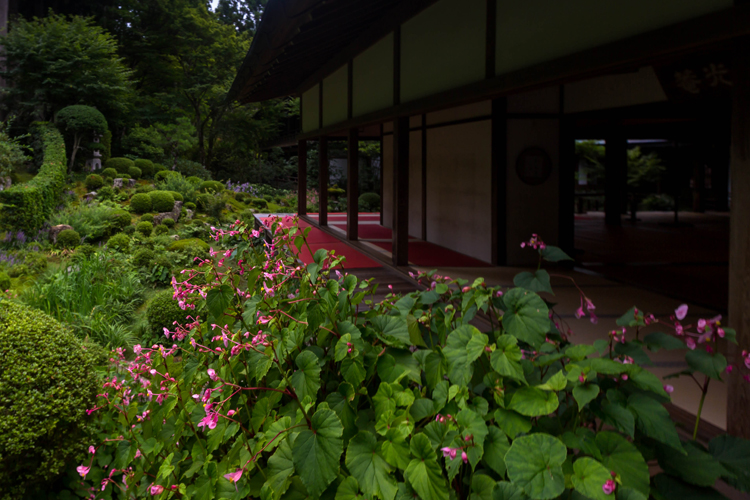 三千院_e0051888_5284477.jpg