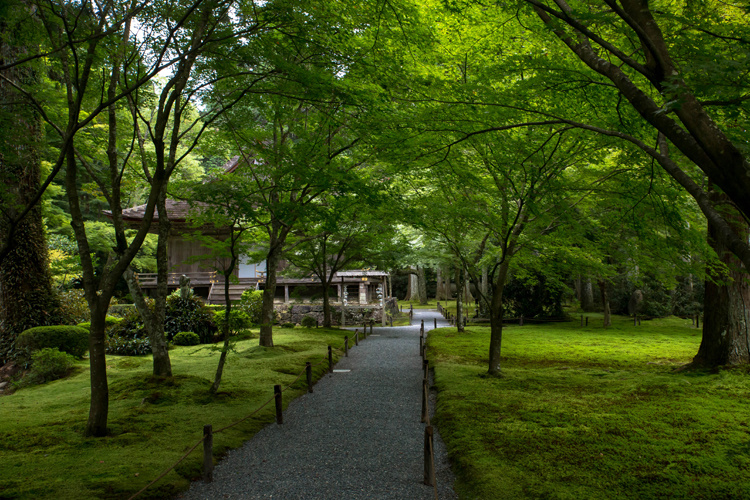 三千院_e0051888_5294039.jpg