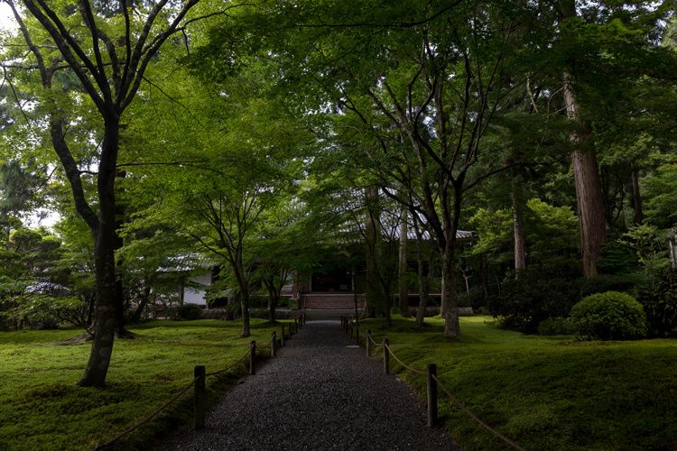 三千院_e0051888_530232.jpg