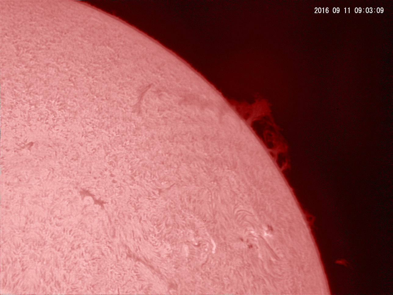 9月11日の太陽_e0174091_15241100.jpg