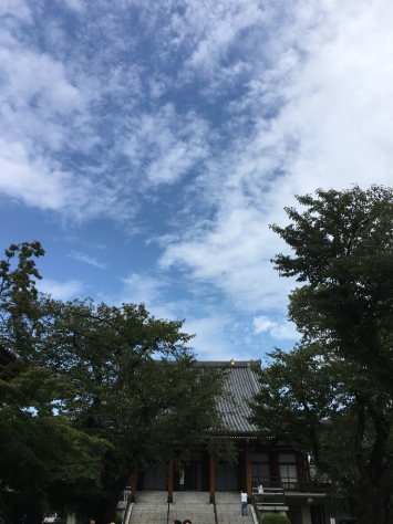 小石川伝通院 指塚 慰霊供養合祀祭と偲ぶ会_a0112393_18195803.jpg