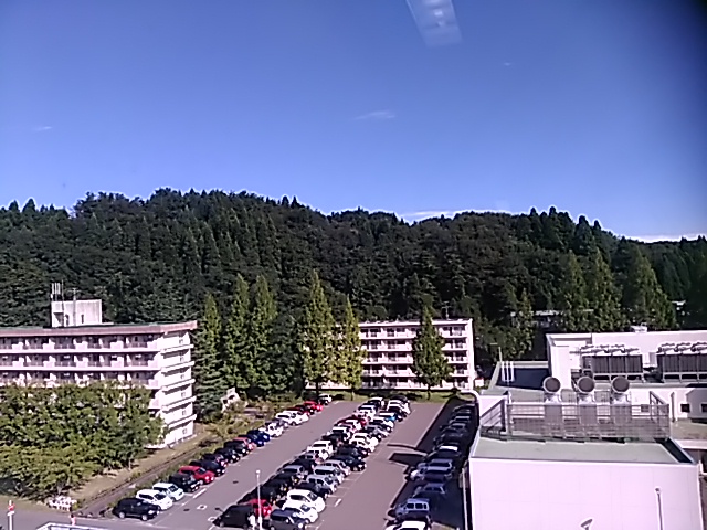 夫からのラインメール_f0019498_8395736.jpg