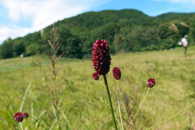 e0137200_20293717.jpg