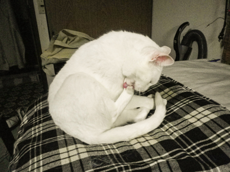 f0239100_23333476.jpg