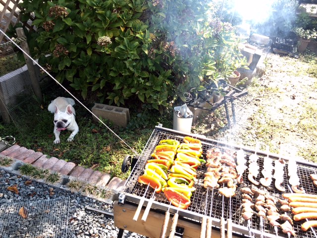 a0050302_13244595.jpg