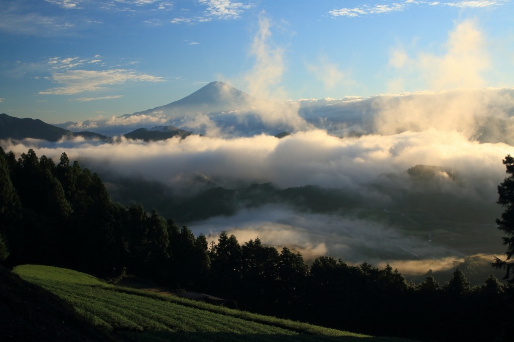 吉原の朝(9月9日)_a0188405_05521067.jpg