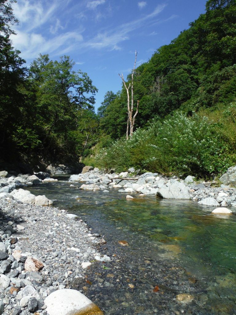 b0172805_8542583.jpg