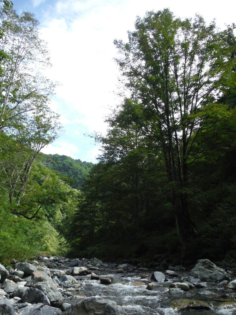 b0172805_94587.jpg