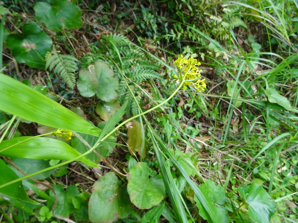 b0052108_7203077.jpg