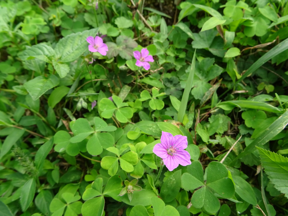 b0052108_721478.jpg
