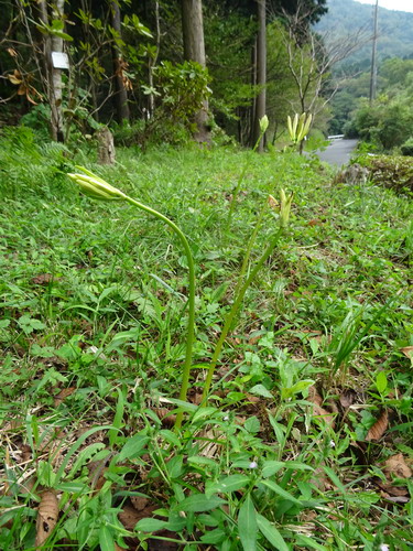 b0052108_781642.jpg