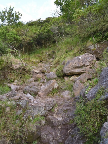 b0277008_19470522.jpg