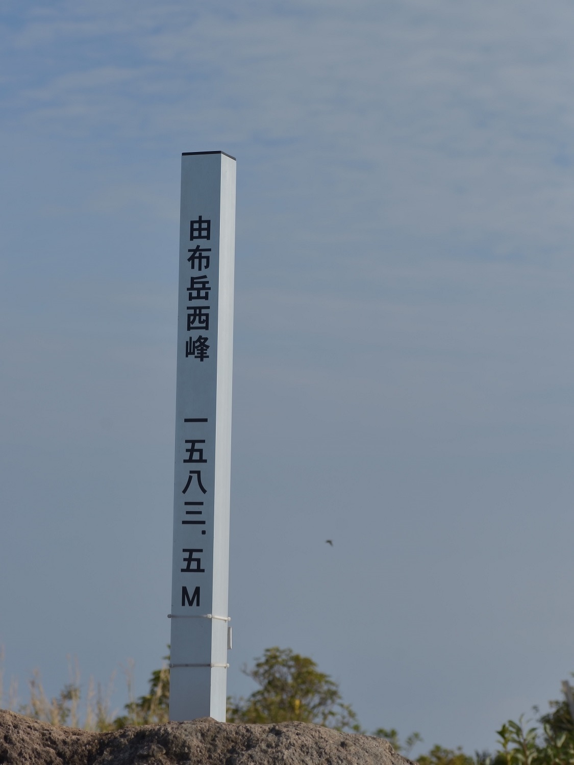 b0277008_19562768.jpg