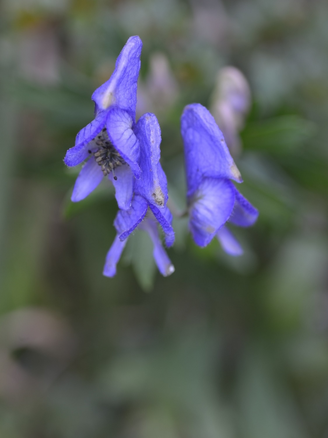 b0277008_20325755.jpg