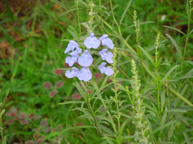 f0297809_23403939.jpg