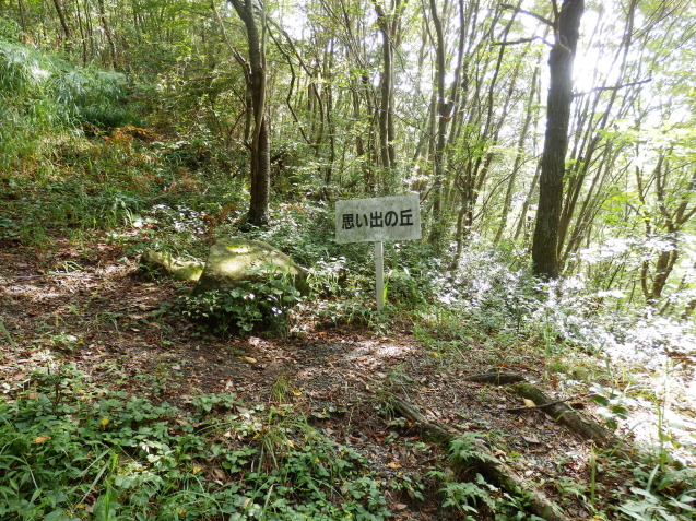 f0219710_07081586.jpg
