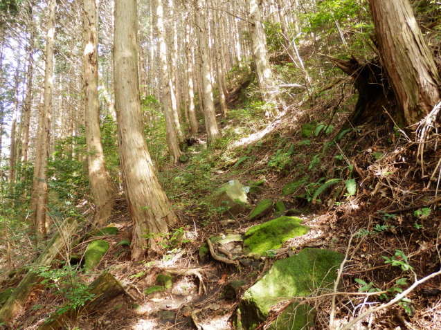 f0219710_07132454.jpg
